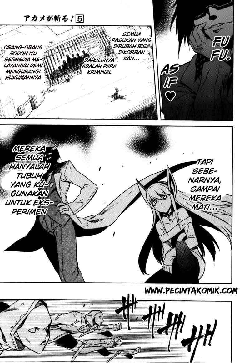 Akame ga Kill! Chapter 20 Gambar 40