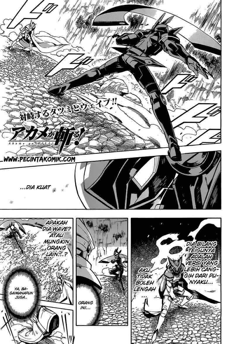 Baca  Akame ga Kill! Chapter 19 Gambar 2