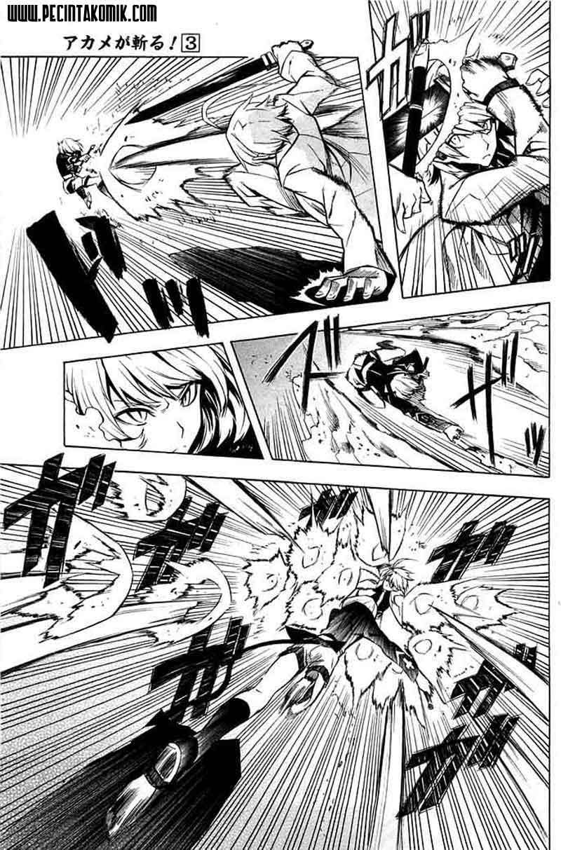 Akame ga Kill! Chapter 13 Gambar 12