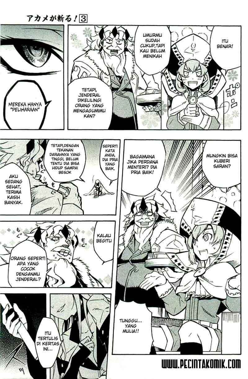 Akame ga Kill! Chapter 10 Gambar 26