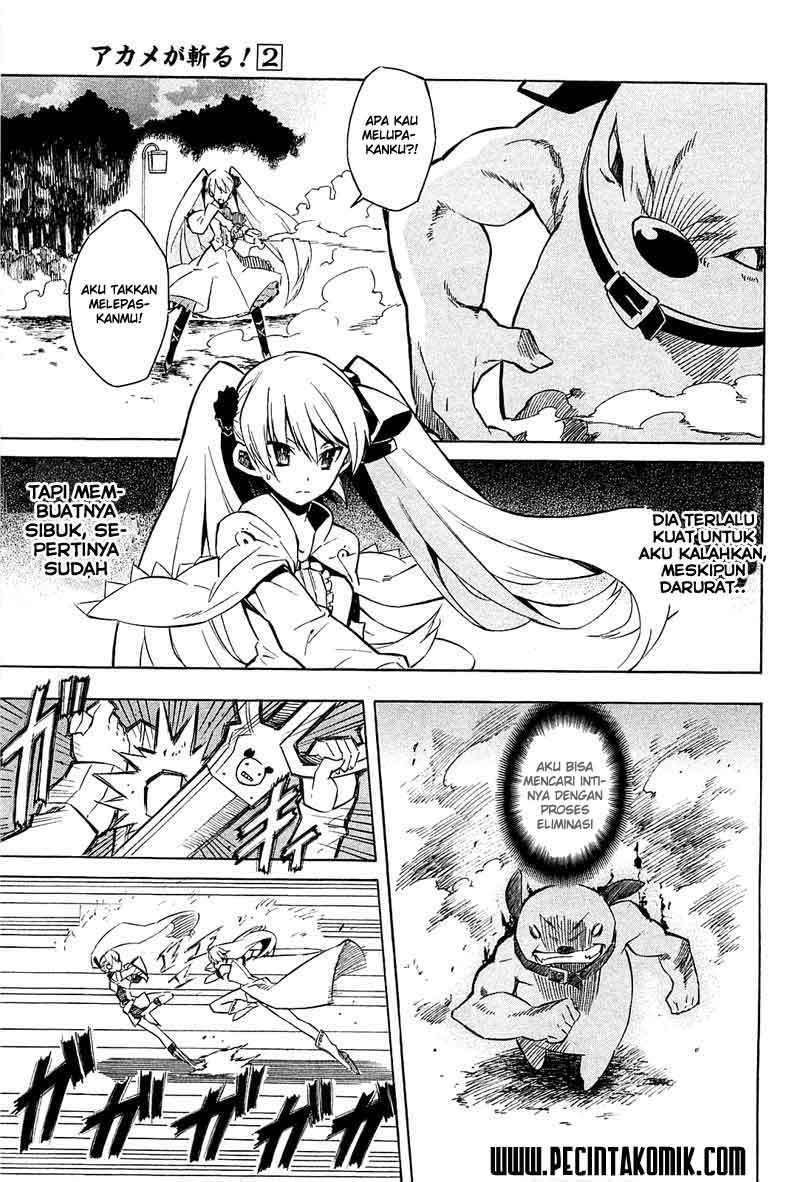 Akame ga Kill! Chapter 9 Gambar 24