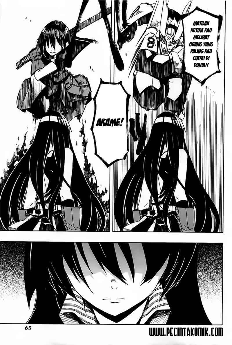 Akame ga Kill! Chapter 6 Gambar 30