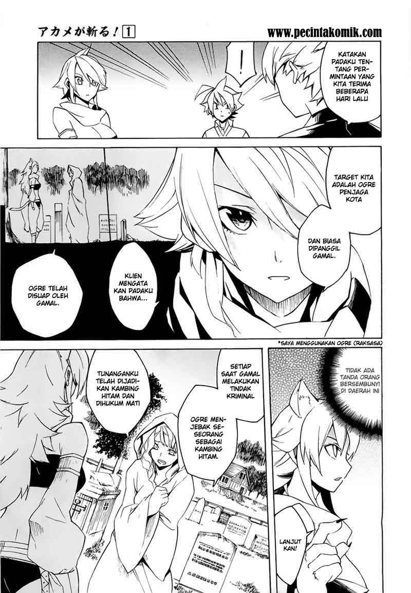 Akame ga Kill! Chapter 3 Gambar 12