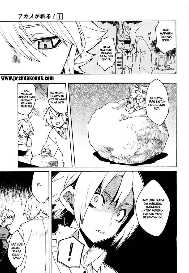 Akame ga Kill! Chapter 3 Gambar 14