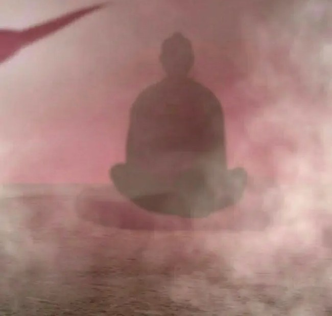 The Life After God Of Martial Lived In Seclusion Chapter 113 Gambar 11