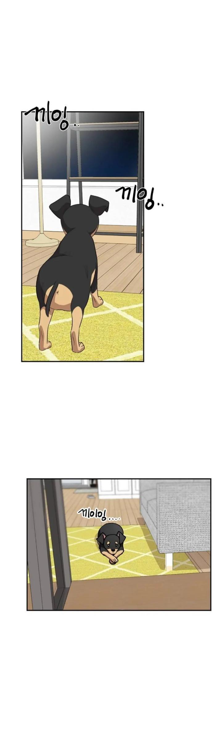 Protect Me, Knight Chapter 56 Gambar 41