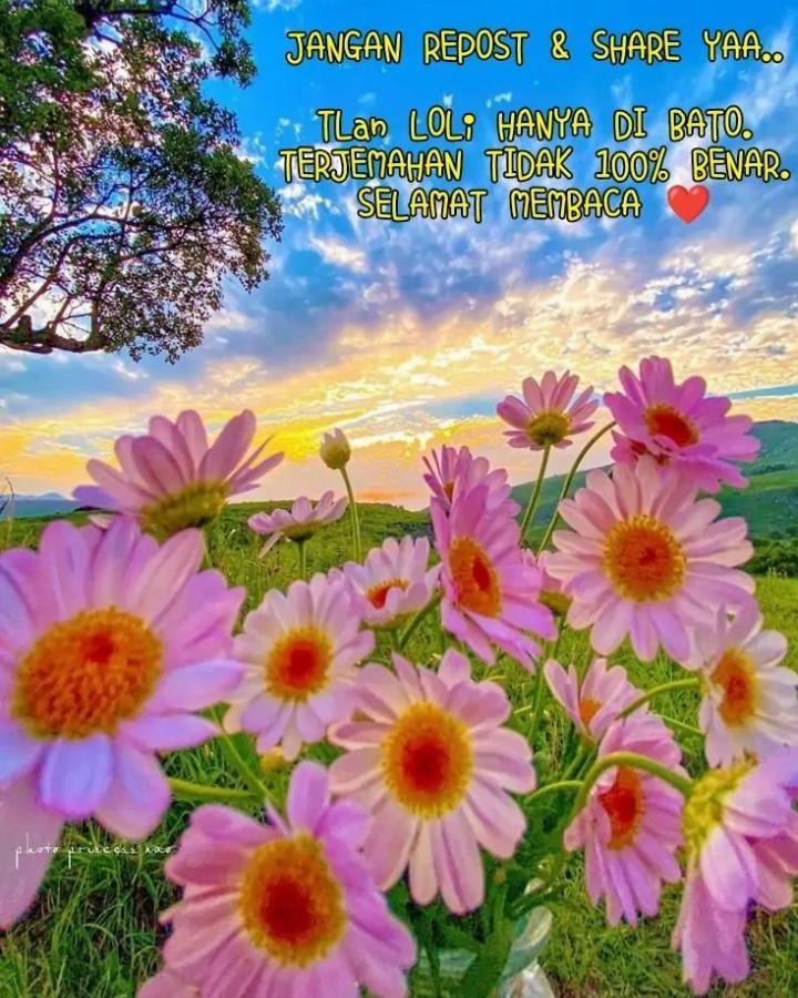 Baca Komik Protect Me, Knight Chapter 43 Gambar 1