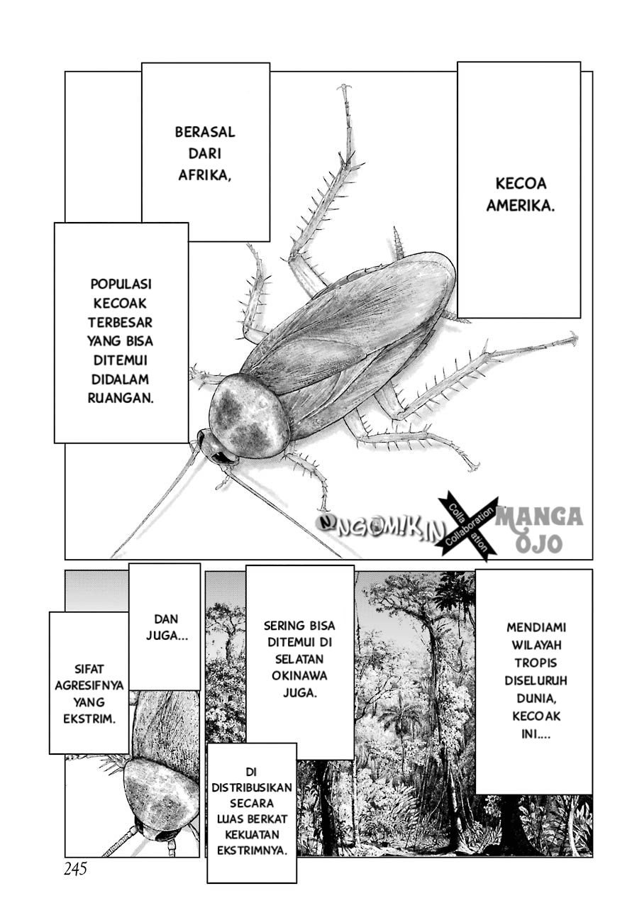 Blattodea Chapter 2 Gambar 15