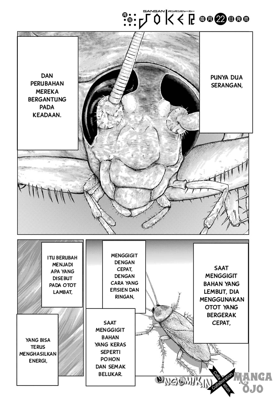 Blattodea Chapter 2 Gambar 27