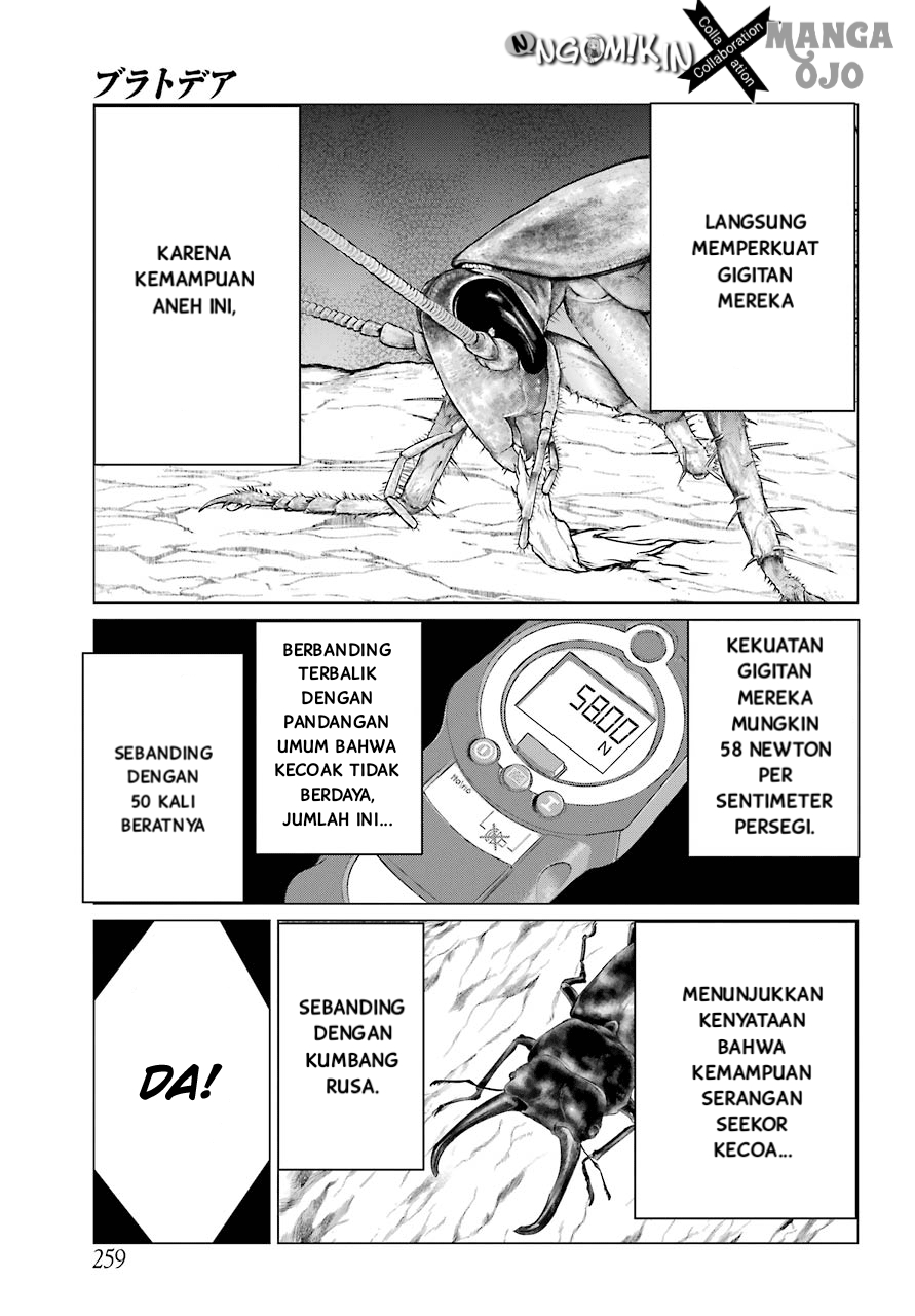 Blattodea Chapter 2 Gambar 28
