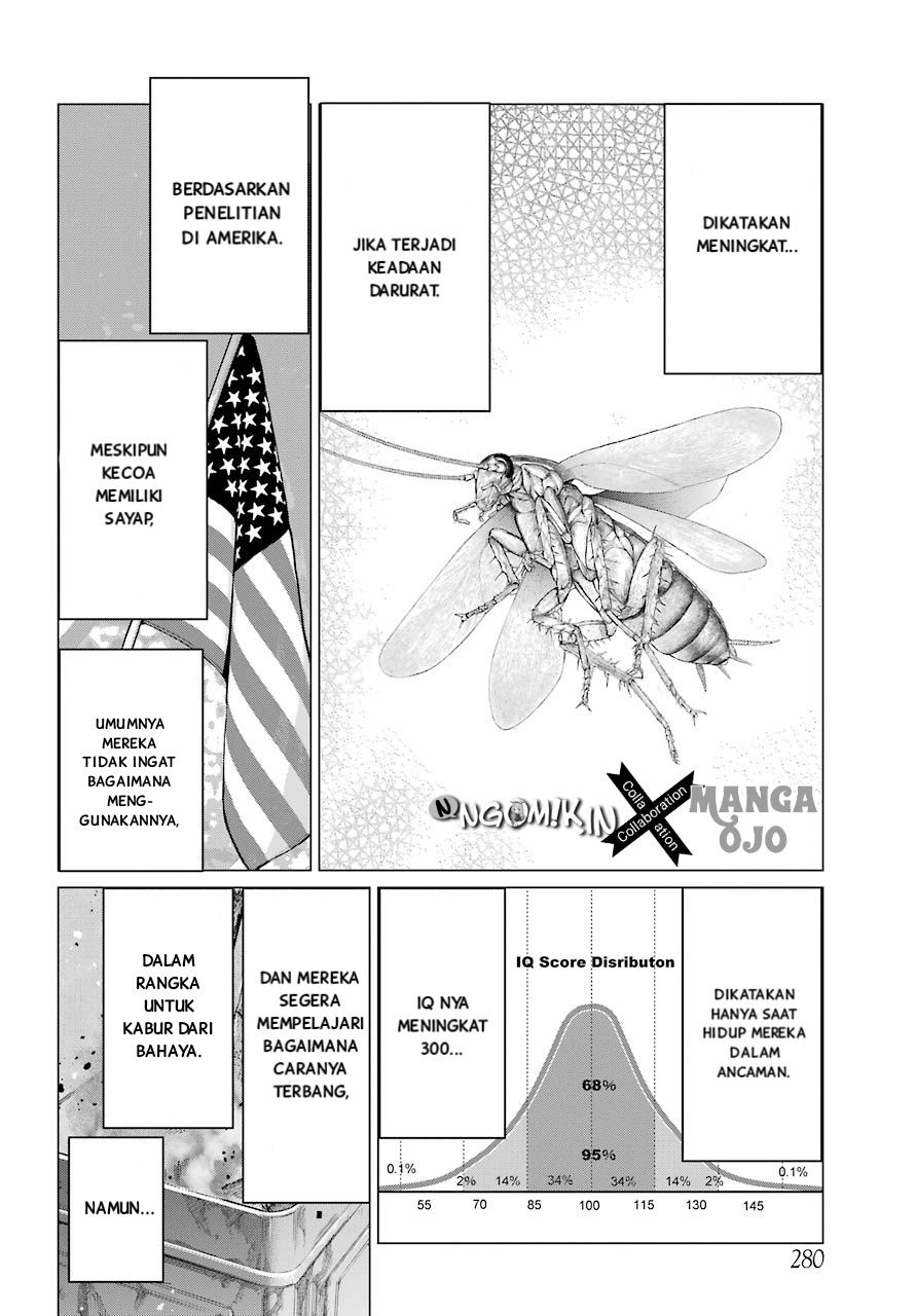 Blattodea Chapter 2 Gambar 47