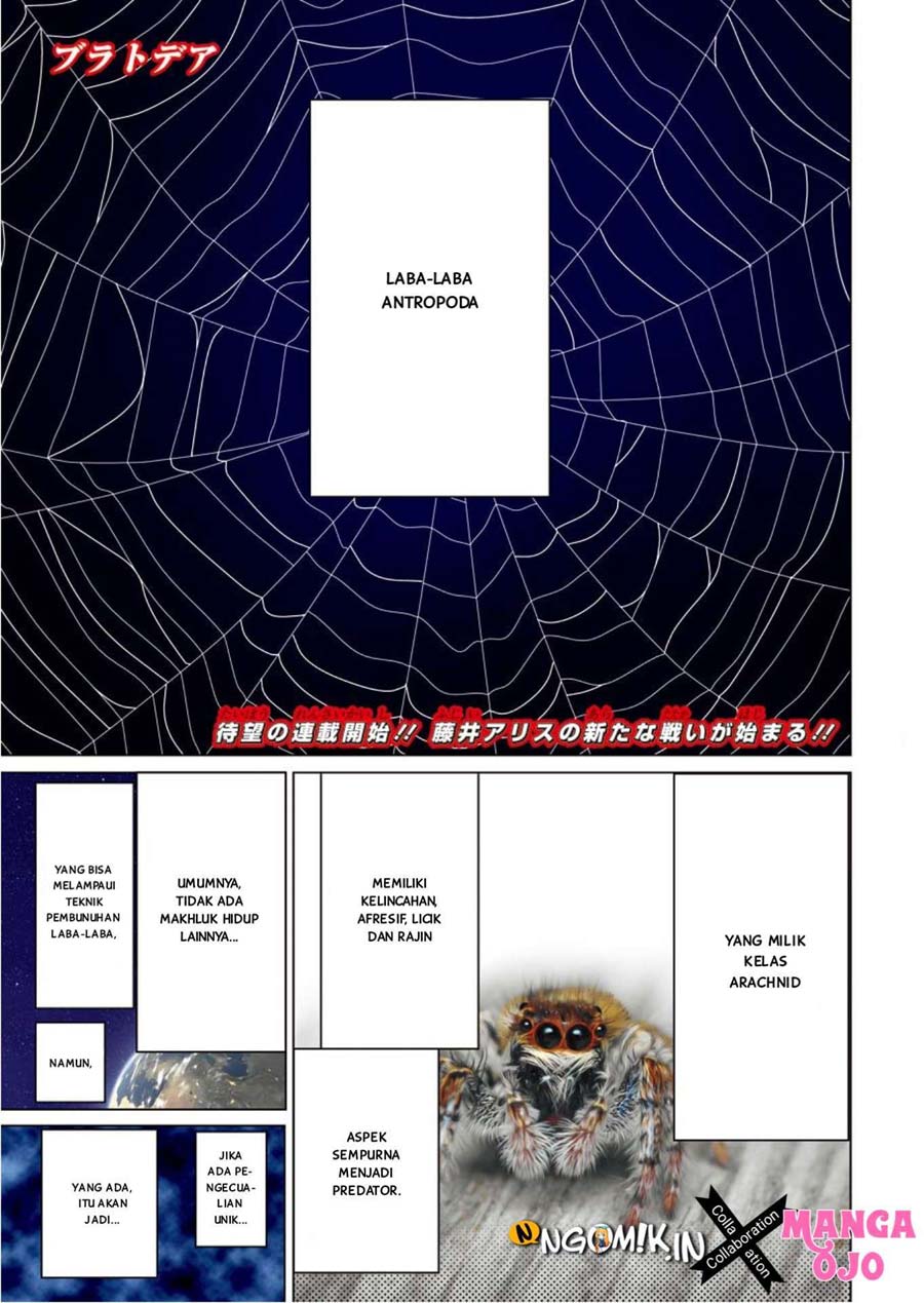 Blattodea Chapter 00.1 Gambar 5