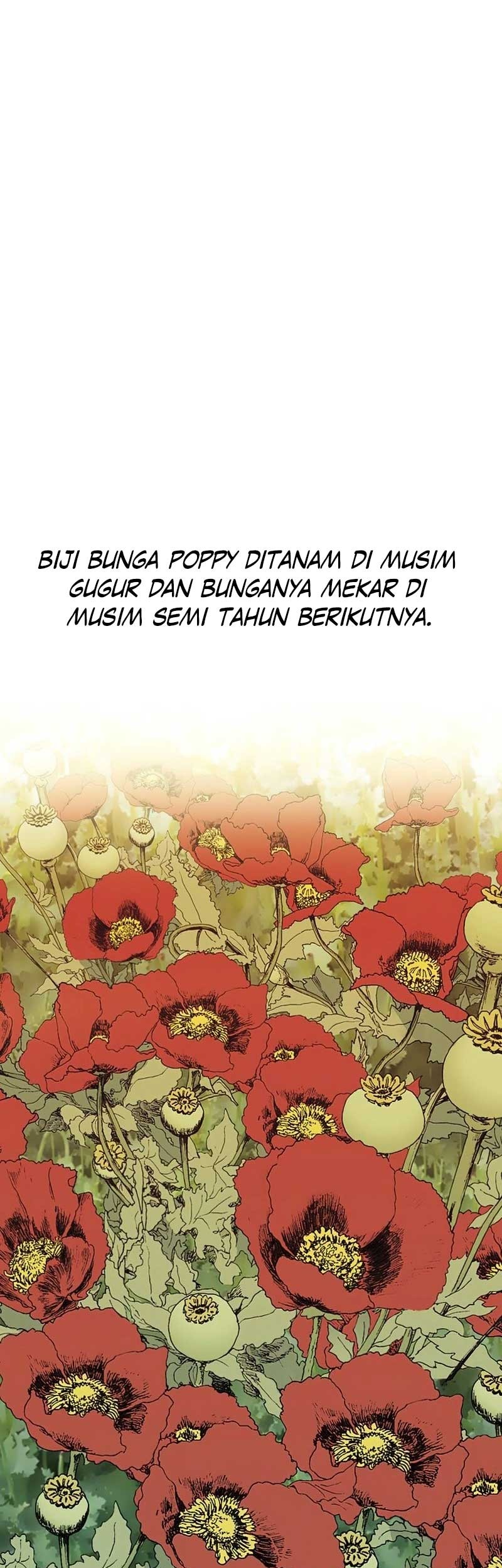 Alone Like the Wolf Chapter 05 Gambar 12
