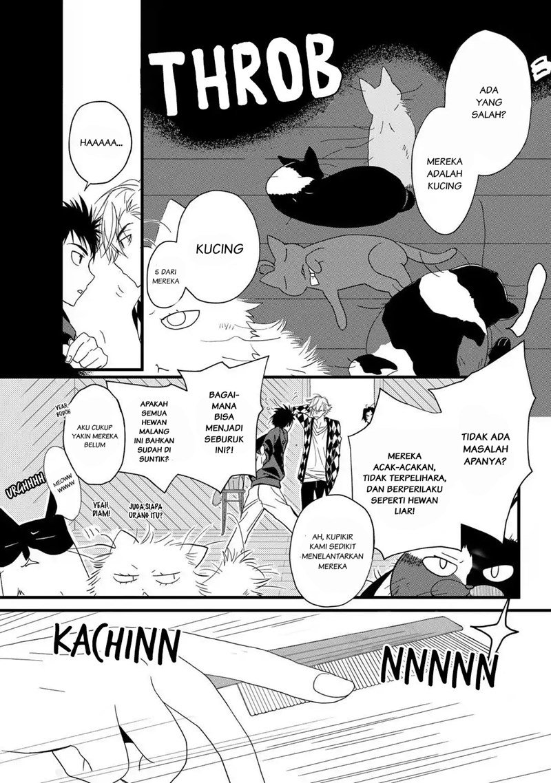 Coffee & Cat Chapter 2 Gambar 4