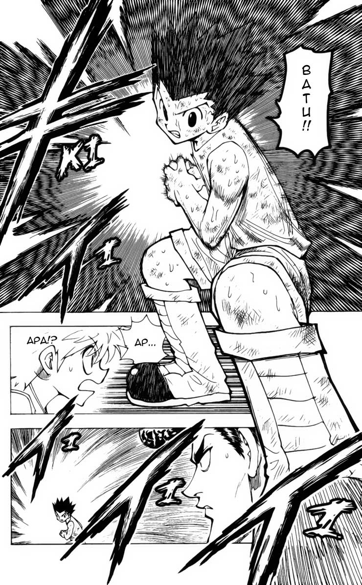 Hunter x Hunter Chapter 208 Gambar 14