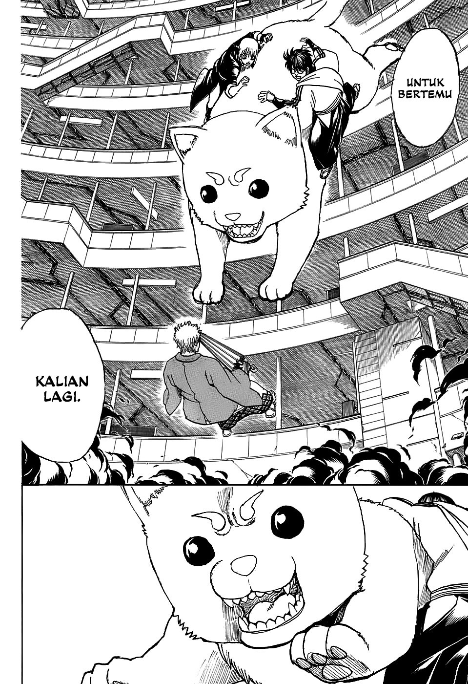Gintama Chapter 701 Gambar 14