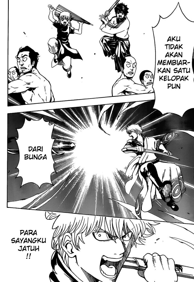 Baca Gintama Chapter 496 Gambar 2