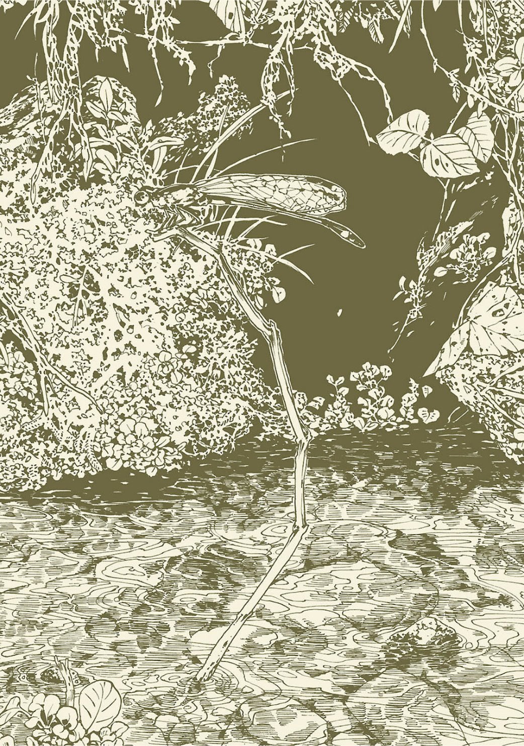 Hakumei to Mikochi Chapter 9 Gambar 4