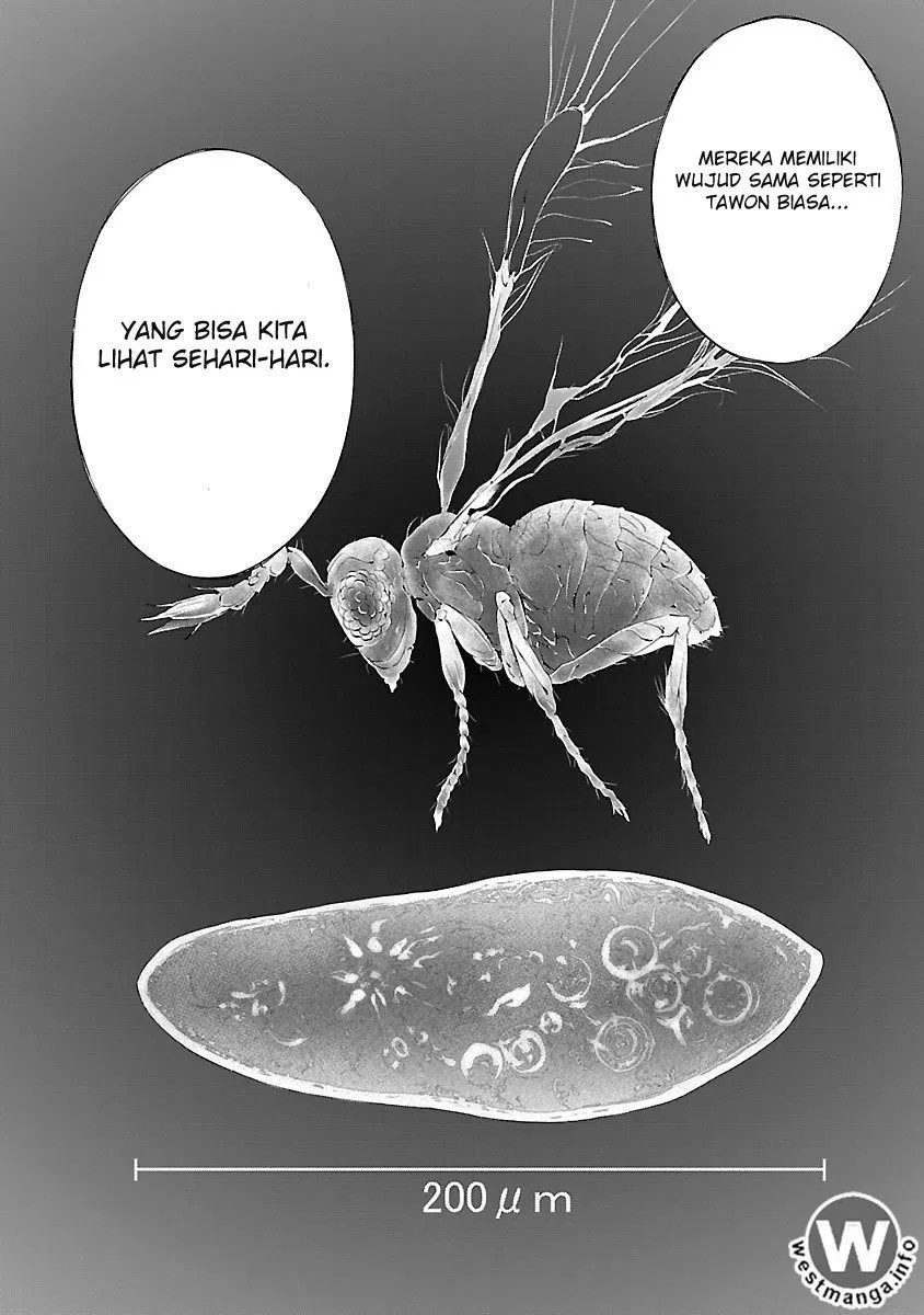 Himenospia Chapter 02 Gambar 5