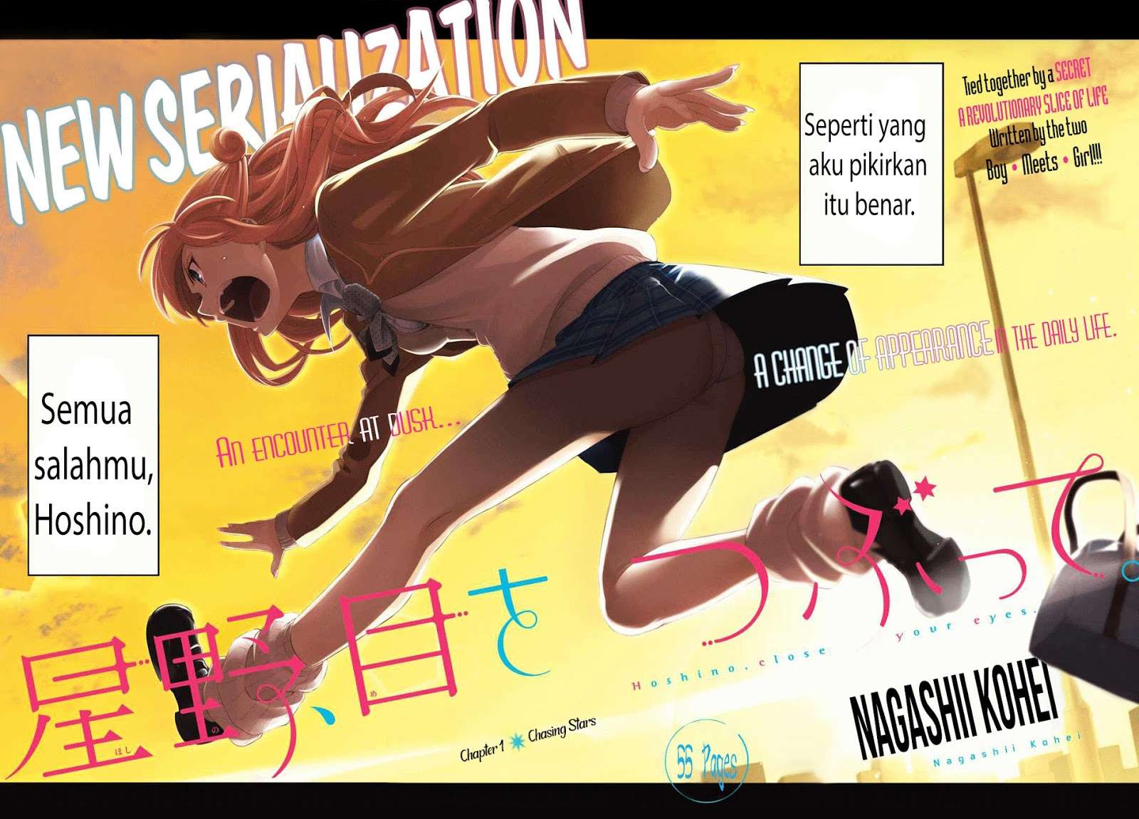 Hoshino, Me o Tsubutte Chapter 1 Gambar 4