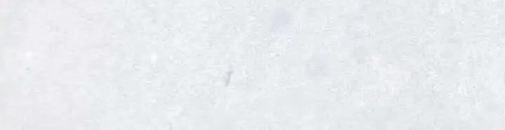 How to Hide the Emperor's Child Chapter 2 Gambar 11