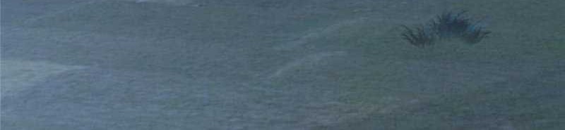 Plundering The Heavens Chapter 15 Gambar 34