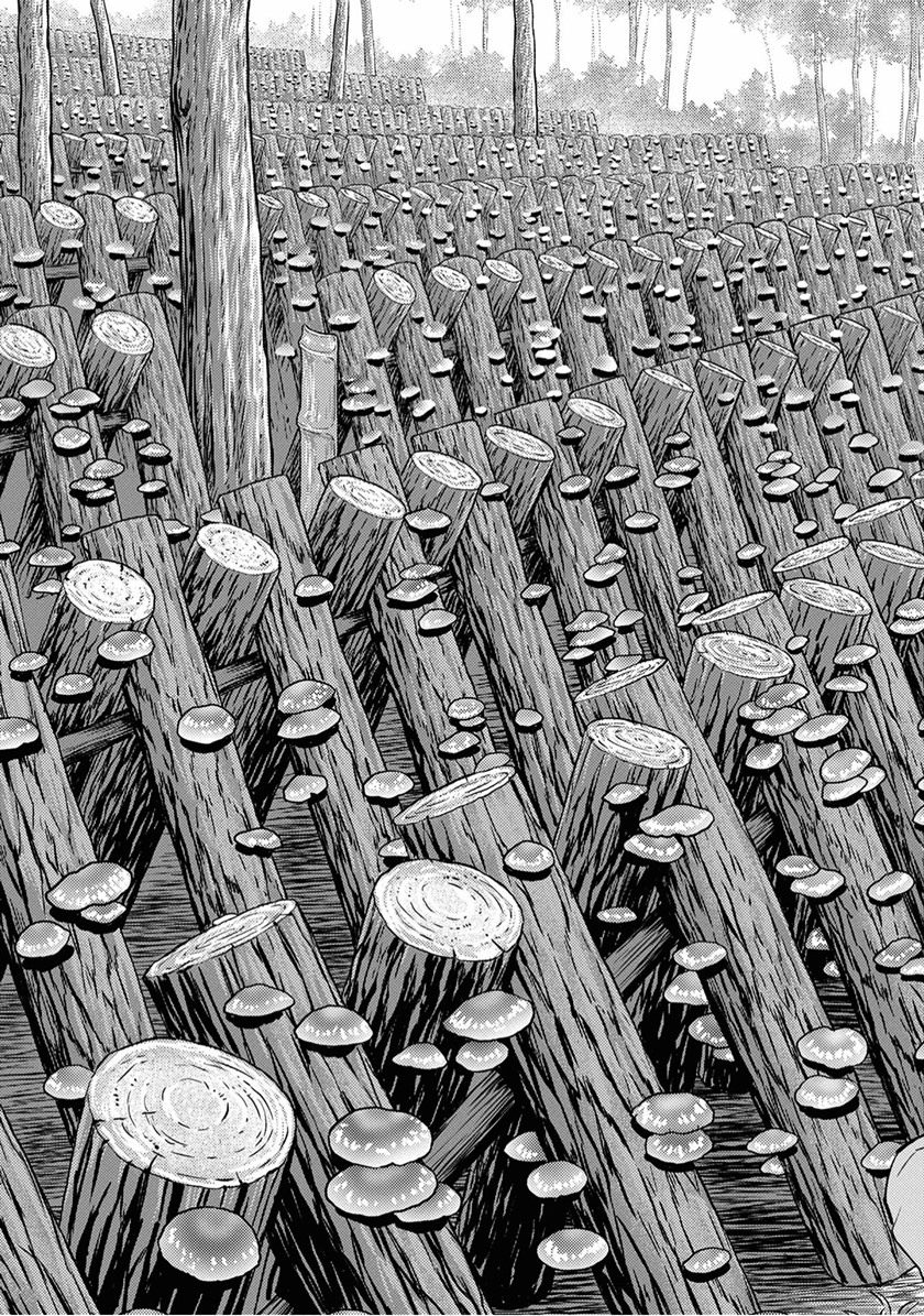 Sengoku Komachi Kuroutan: Noukou Giga Chapter 08 Gambar 14