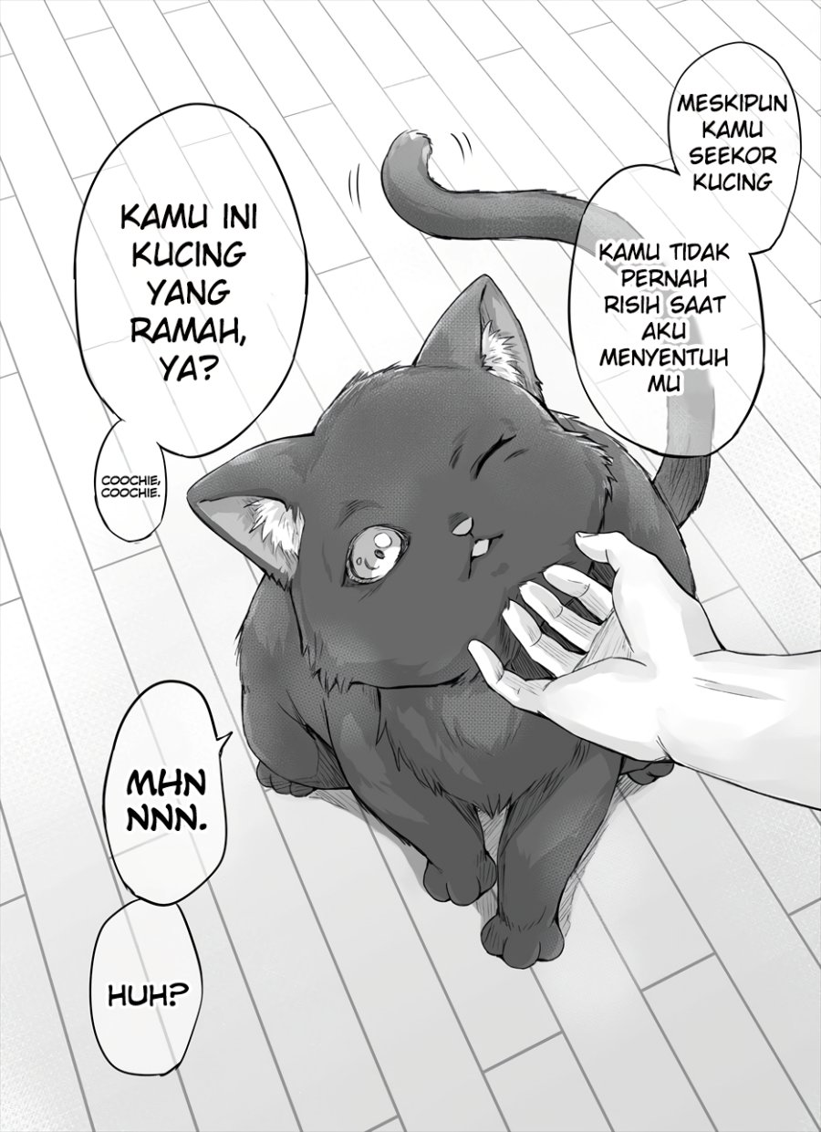 Baca  The Yandere Pet Cat is Overly Domineering Chapter 02 Gambar 2