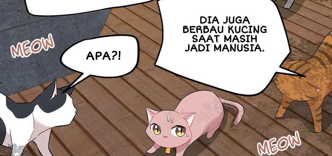Just for a Meowment Chapter 21 Gambar 23