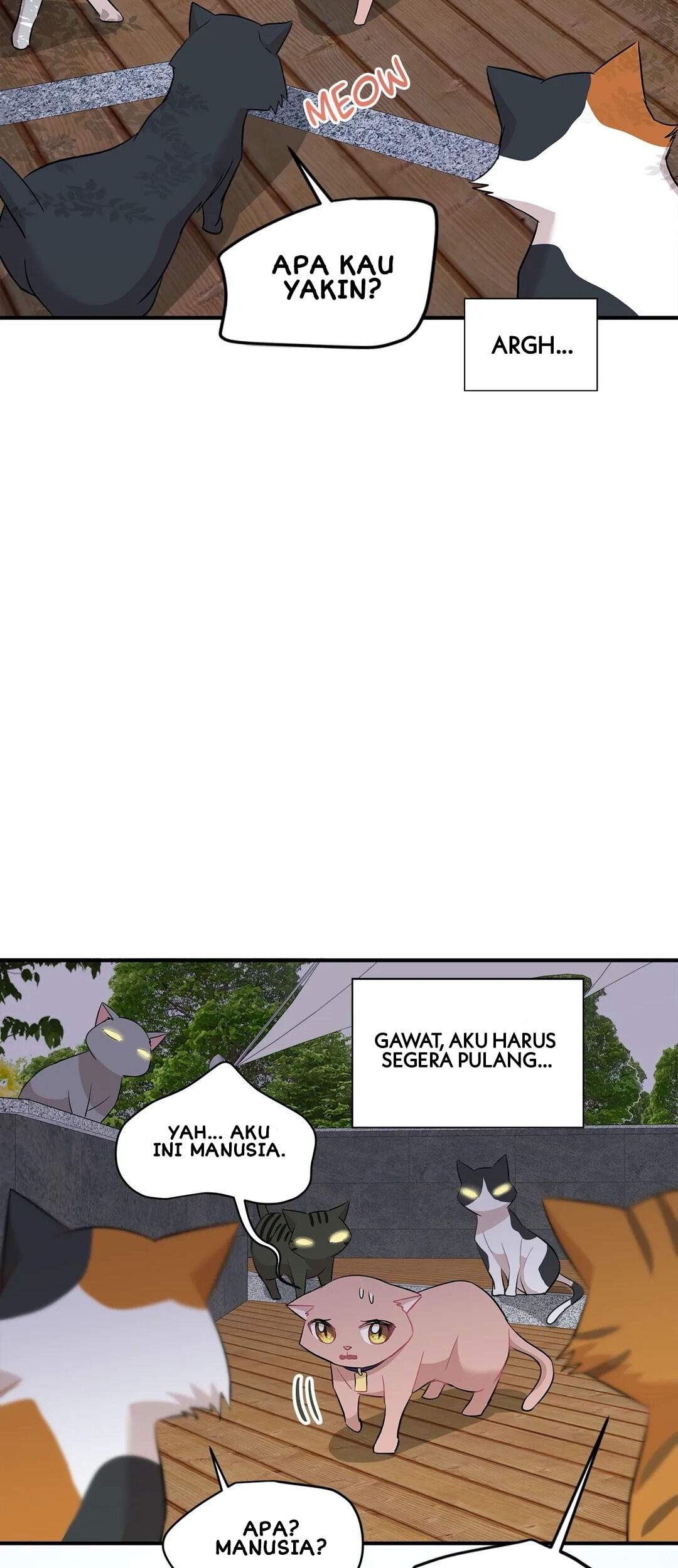Just for a Meowment Chapter 21 Gambar 24