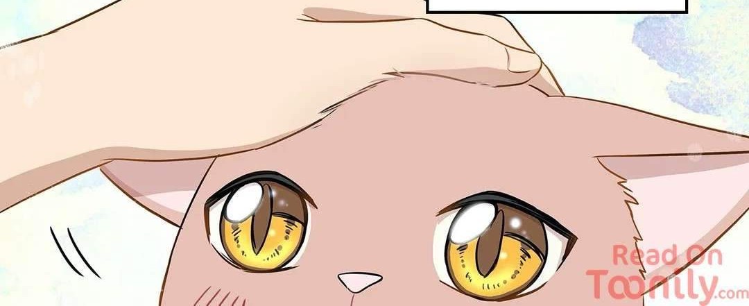 Just for a Meowment Chapter 3 Gambar 5