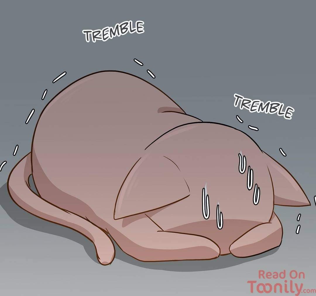 Just for a Meowment Chapter 1 Gambar 66