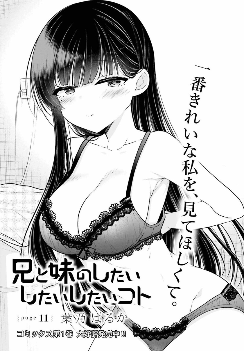 Baca Ani to Imouto no Shitai Shitai Shitai Koto Chapter 11 Gambar 2
