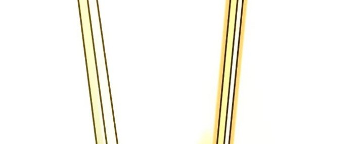 Sword Fanatic Wanders Through The Night Chapter 43 Gambar 47