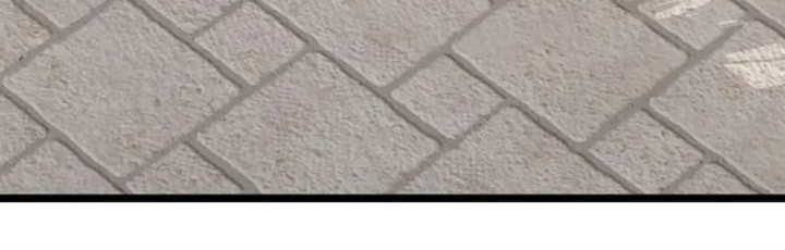 He Can’t Be This Dumb! Chapter 66 Gambar 46