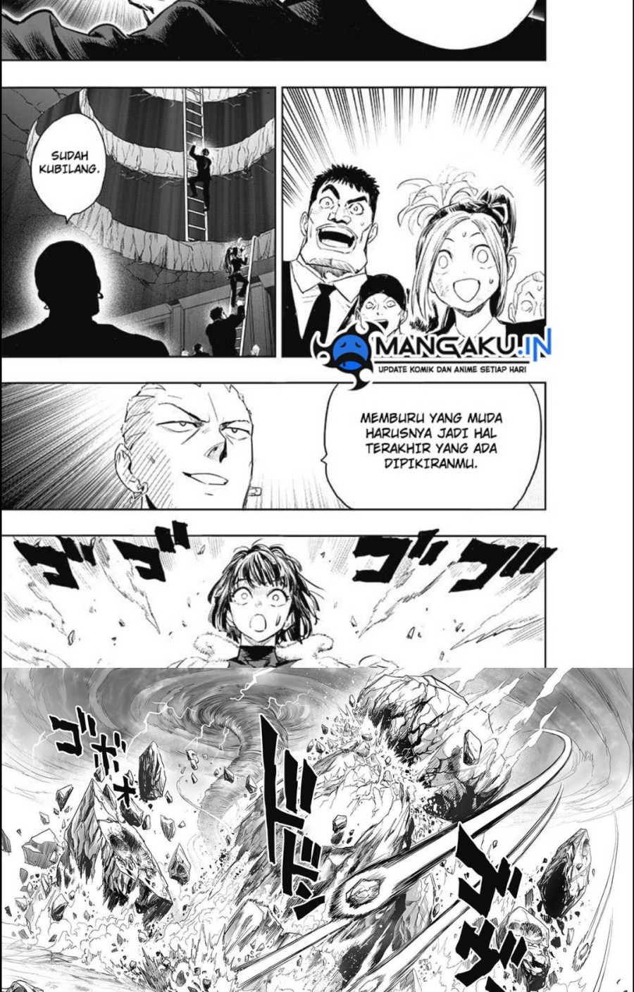 One Punch Man Chapter 235 22