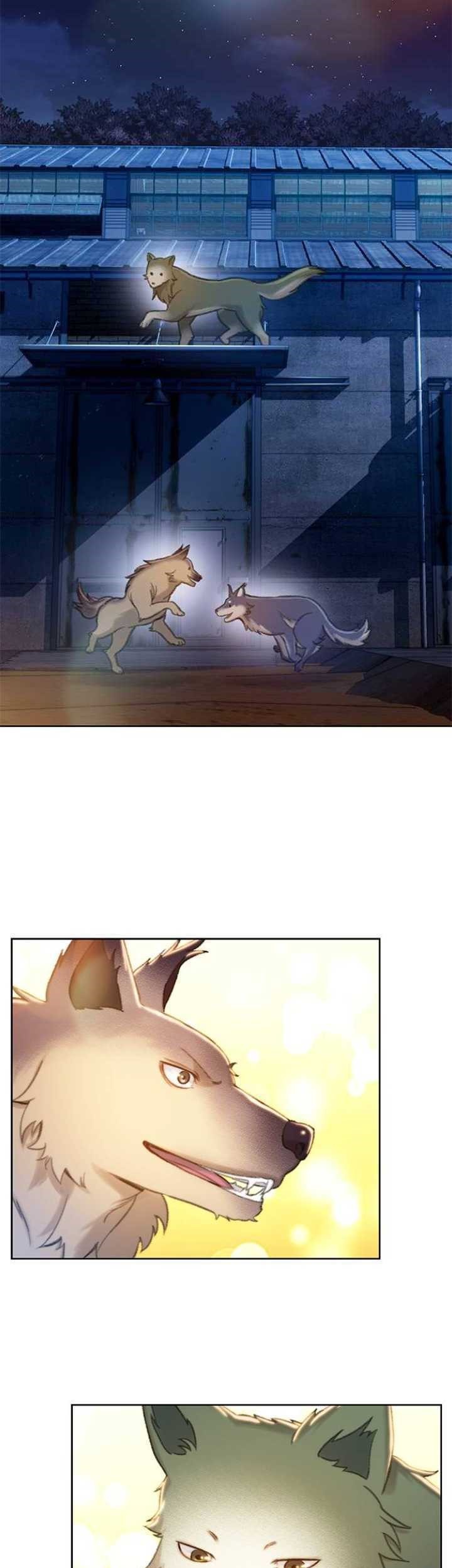 Dark Moon: The Grey City Chapter 12 Gambar 50