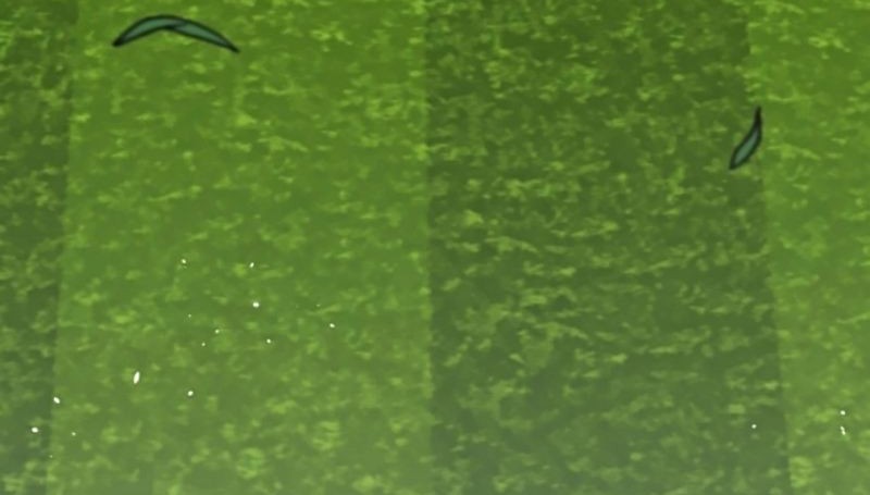 Secret Buddy Chapter 12 Gambar 17