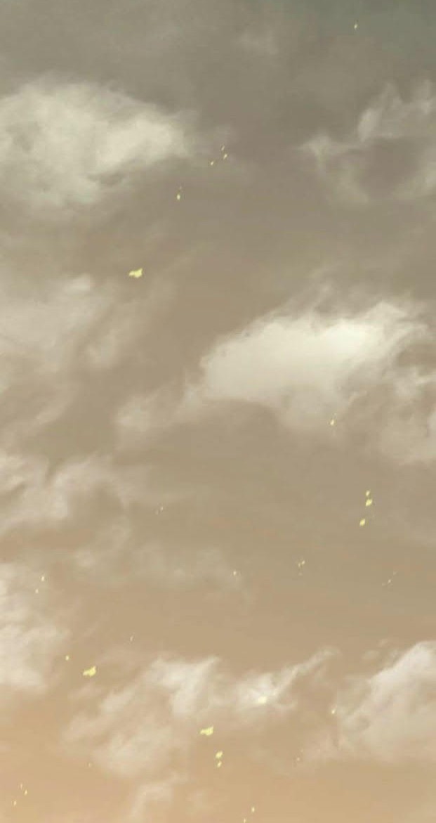 Apocalyptic Thief Chapter 157 Gambar 22