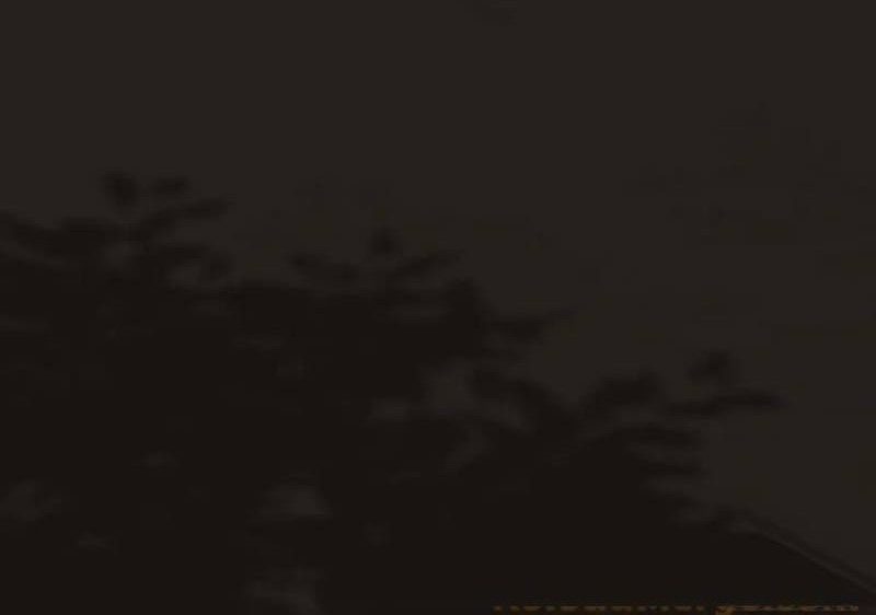 The Ghostly Doctor Chapter 576 Gambar 38