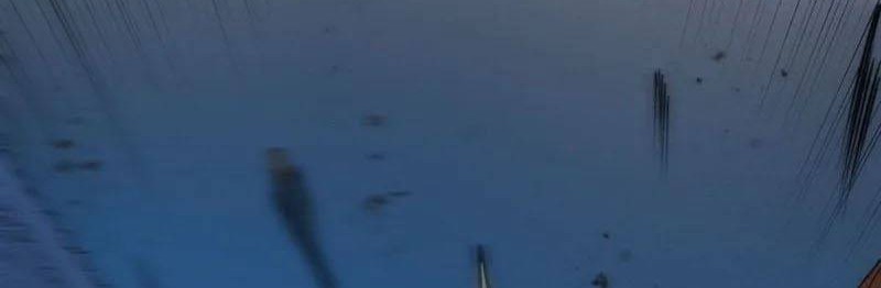 Ultimate Devouring System Chapter 19 Gambar 22