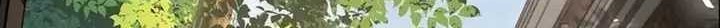 Transcending Alchemy God Chapter 16 Gambar 14