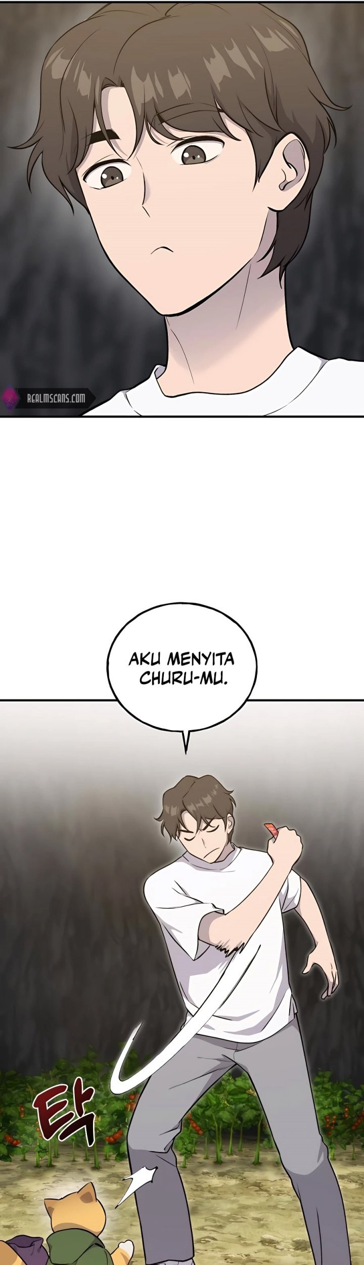 Solo Farming In The Tower Chapter 16 Gambar 6