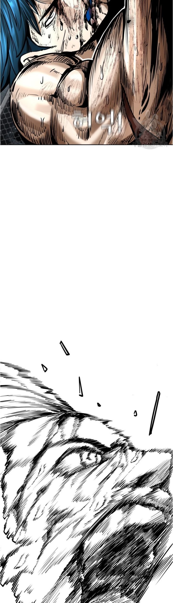 Shark Chapter 282 Gambar 65