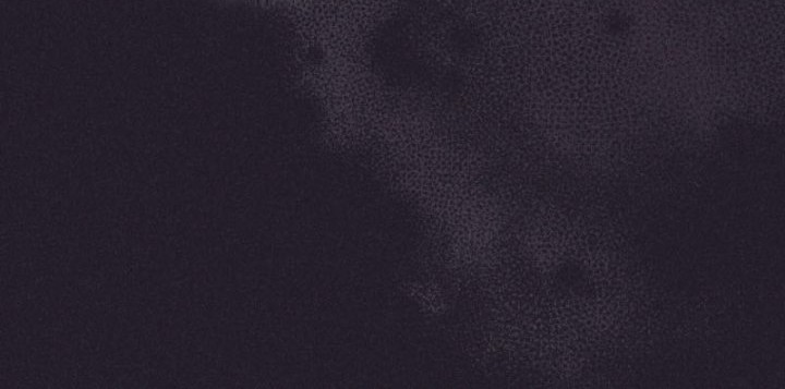 Never Die Extra Chapter 60 Gambar 17