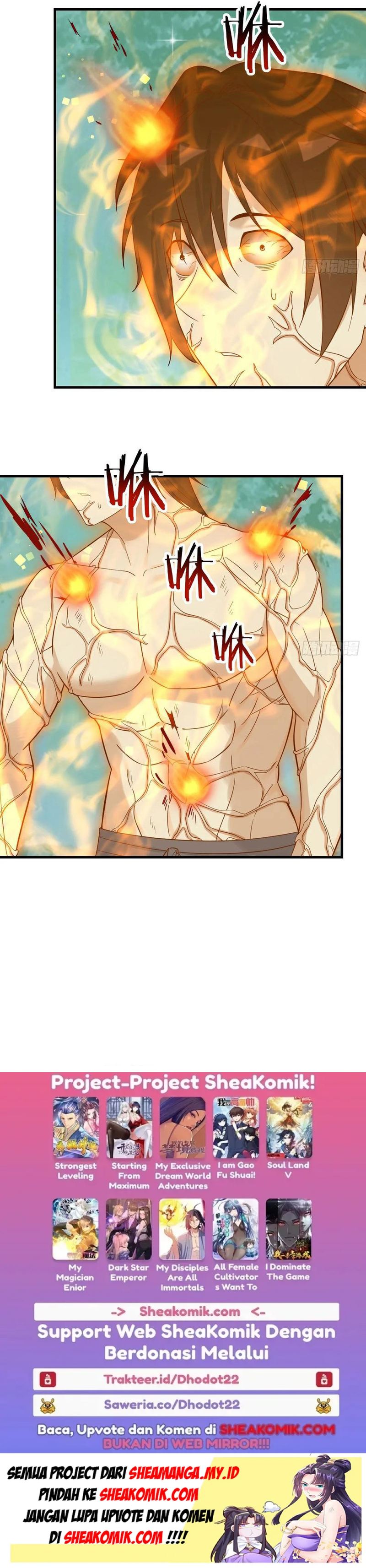 Before Becoming Invincible, Too Many Love Chapter 79 11