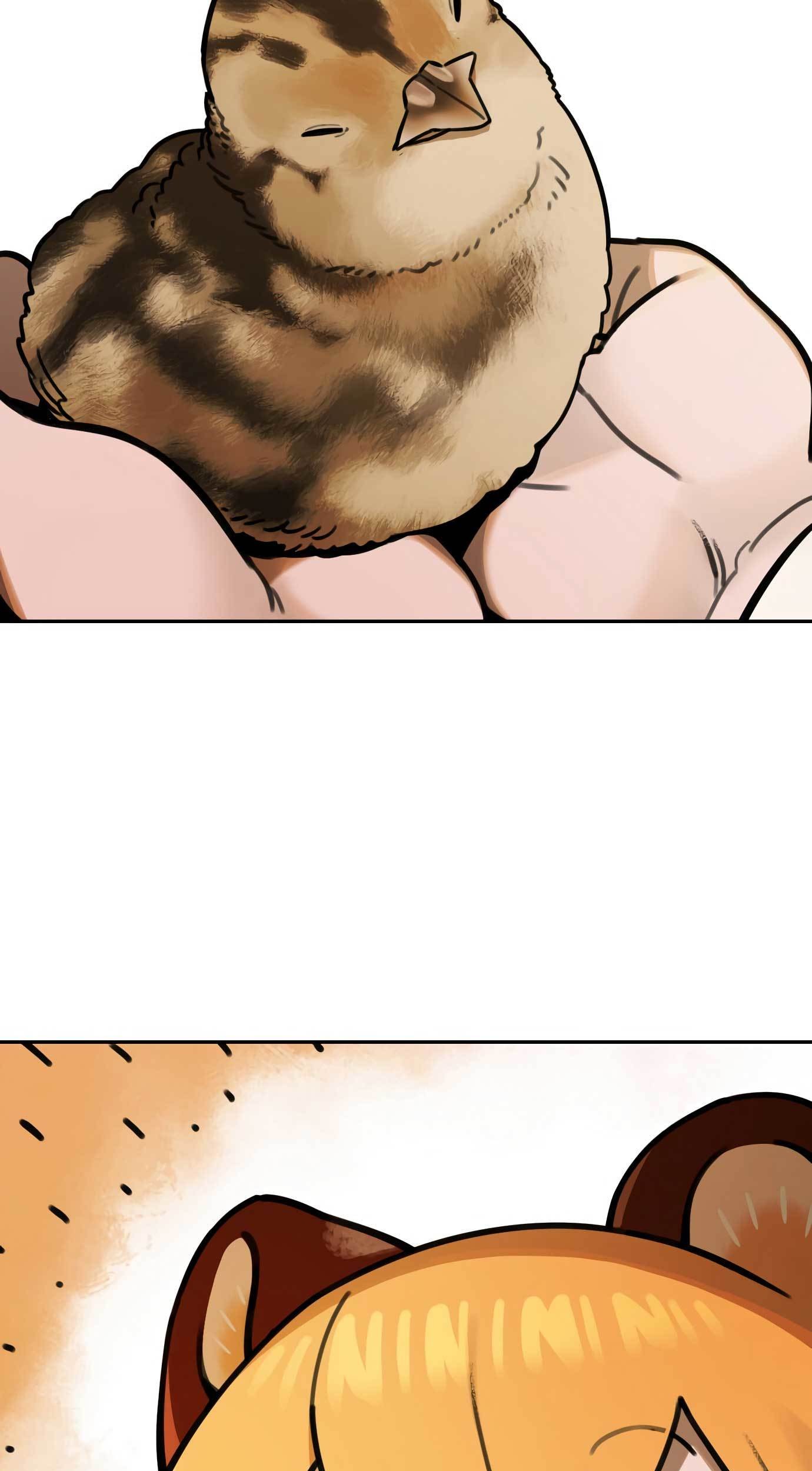 Tiger Coming In Chapter 67 Gambar 26