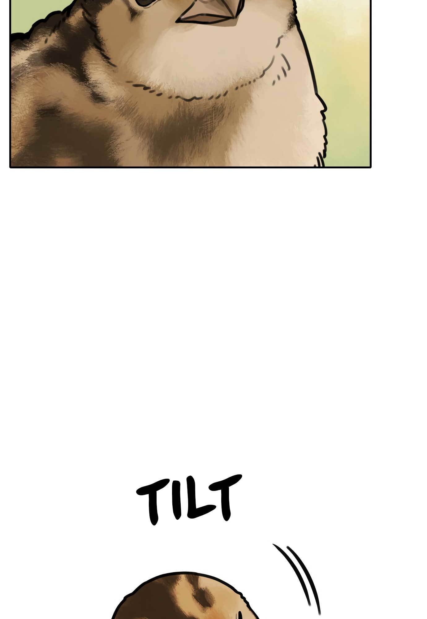 Tiger Coming In Chapter 67 Gambar 25