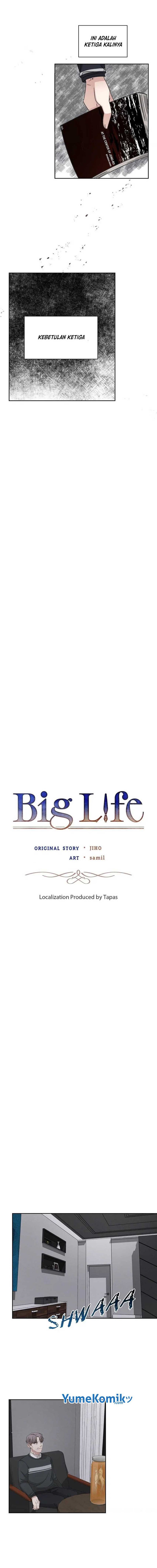 Big Life