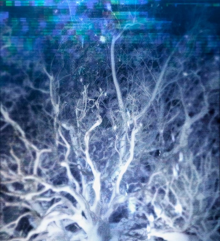 The S-Classes That I Raised Chapter 95 Gambar 69